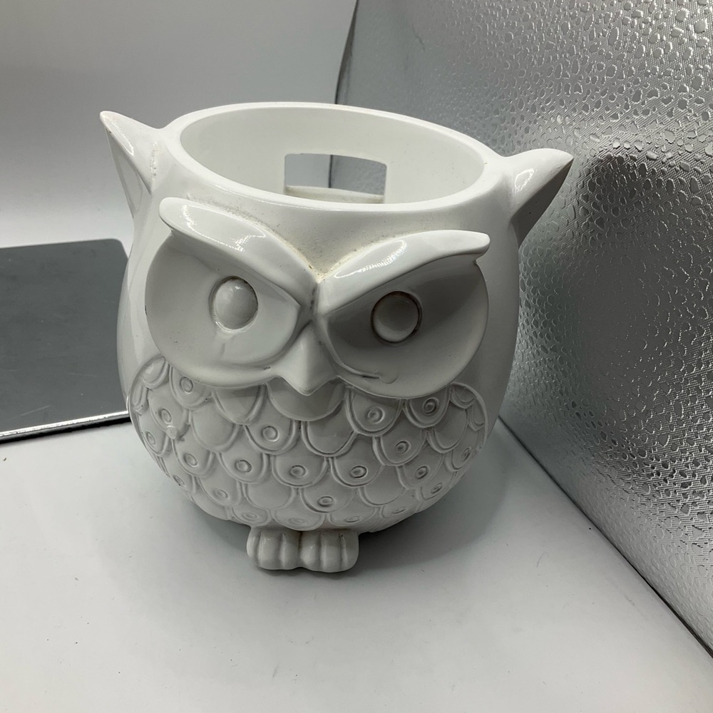 Amazon Echo Dot or Candle Holder- Owl